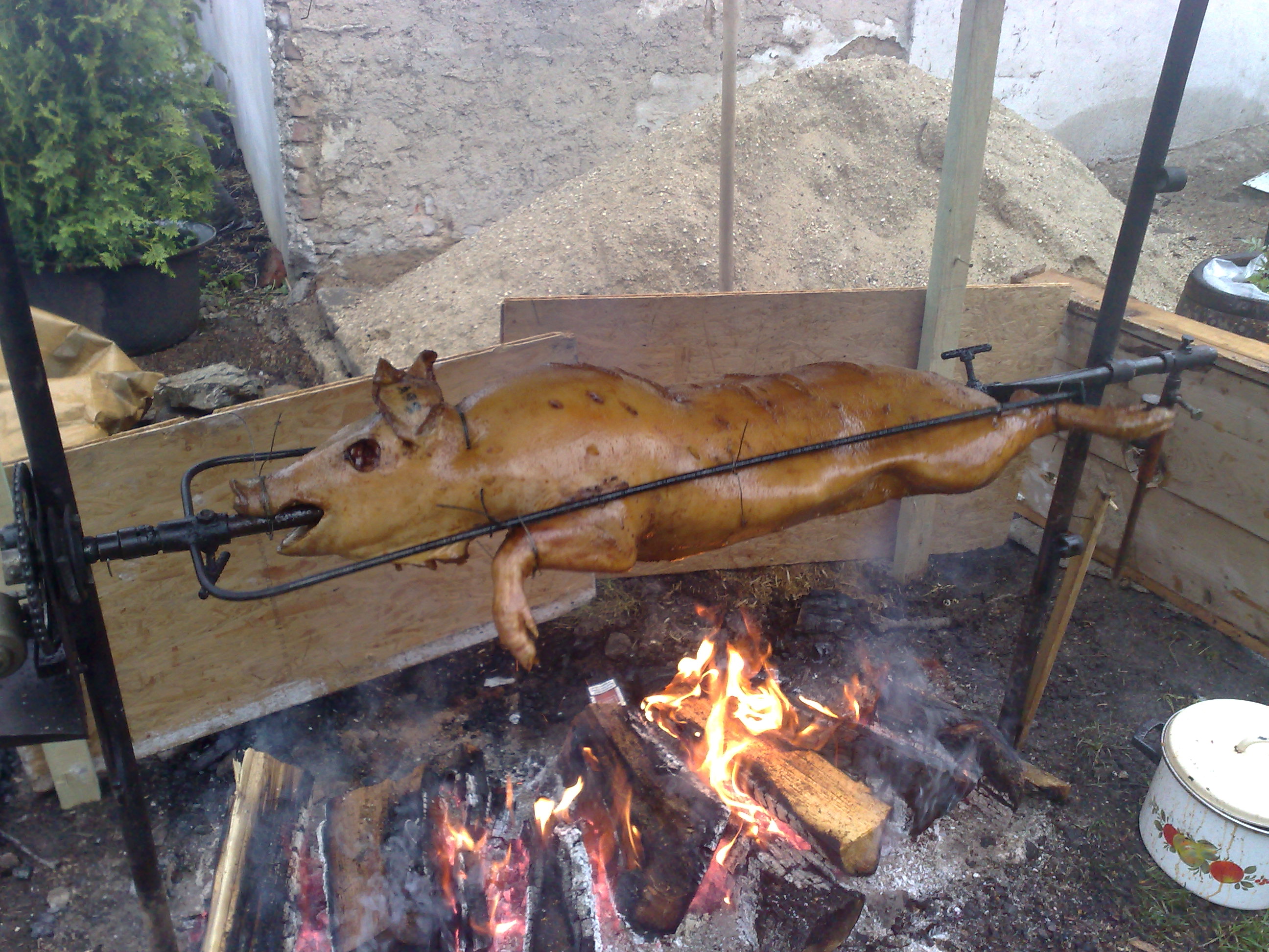30052009086.jpg
